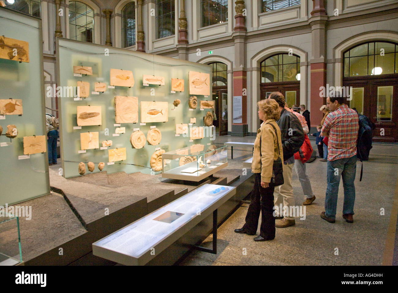 Visitors, Natural History Museum, Berlin Germany Stock Photo
