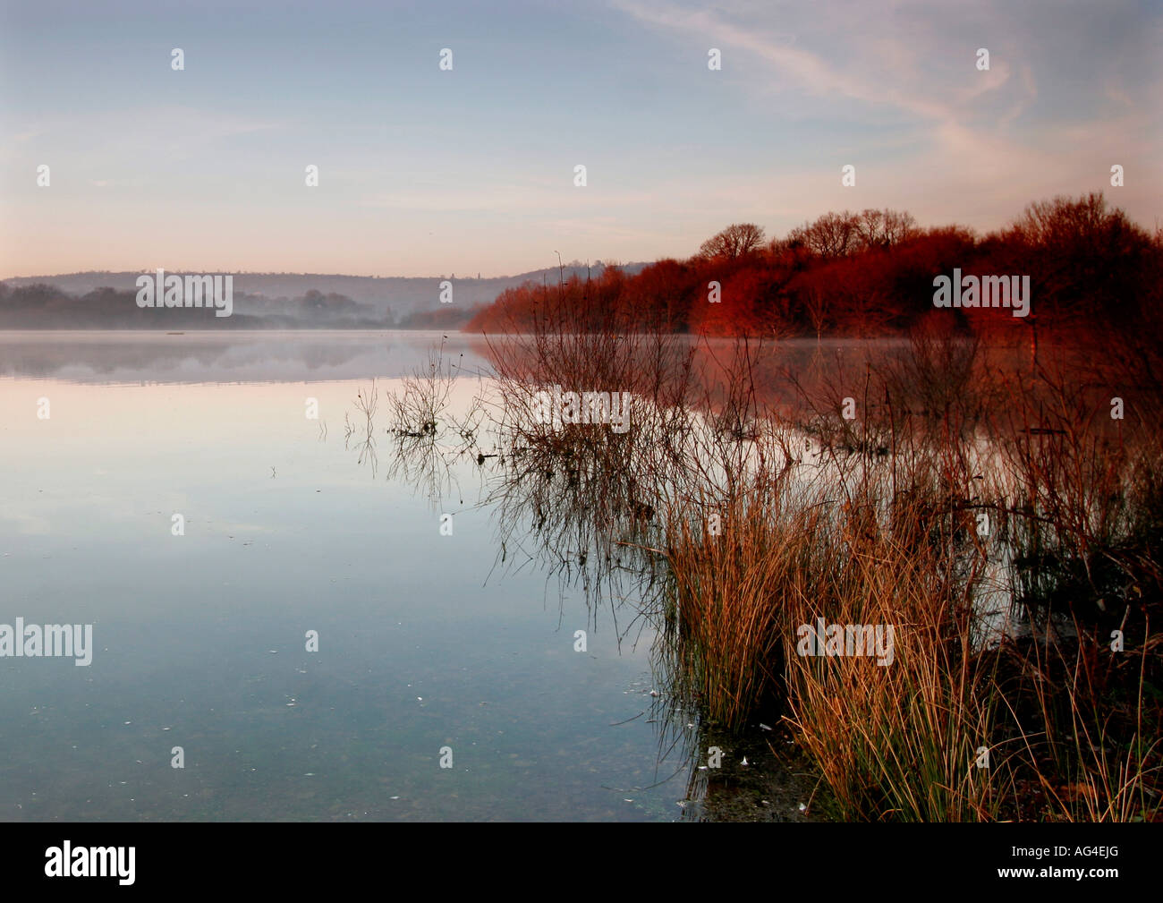 Beautiful still water hi-res stock photography and images - Alamy