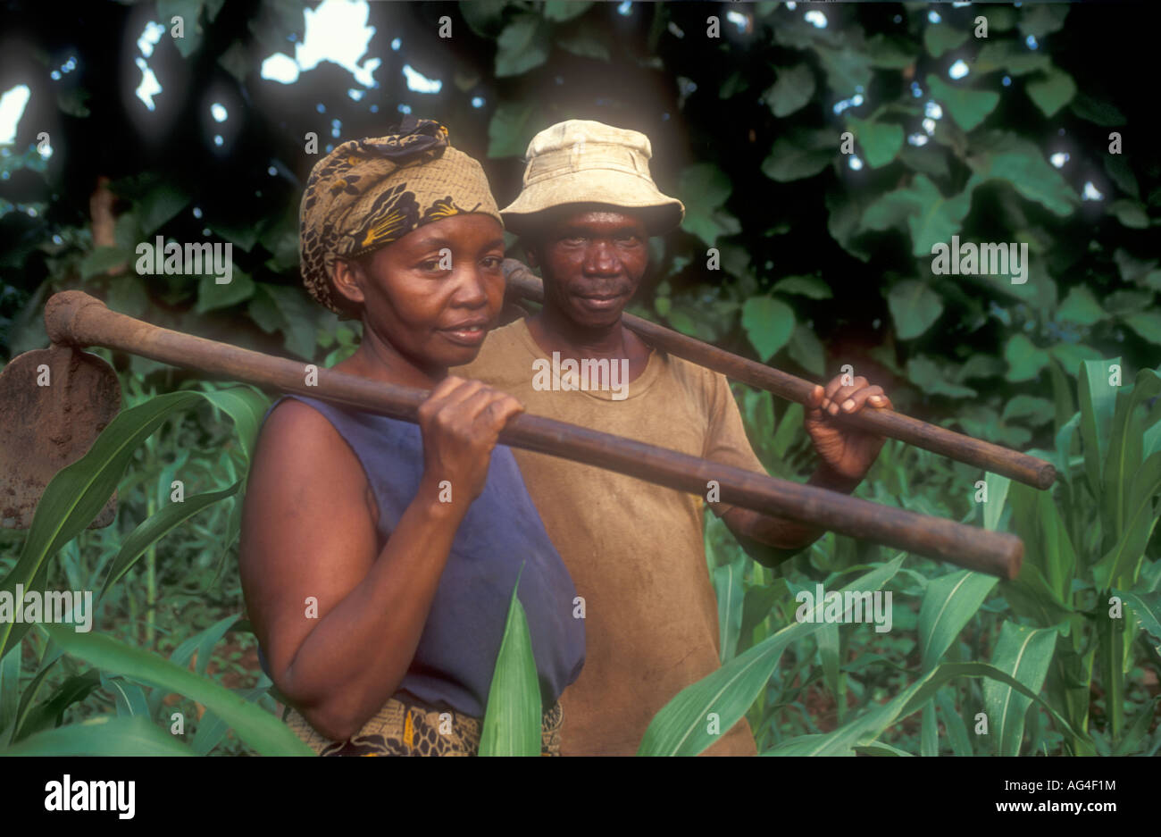 Farmers in Morogoro District, Tanzania. Stock Photo