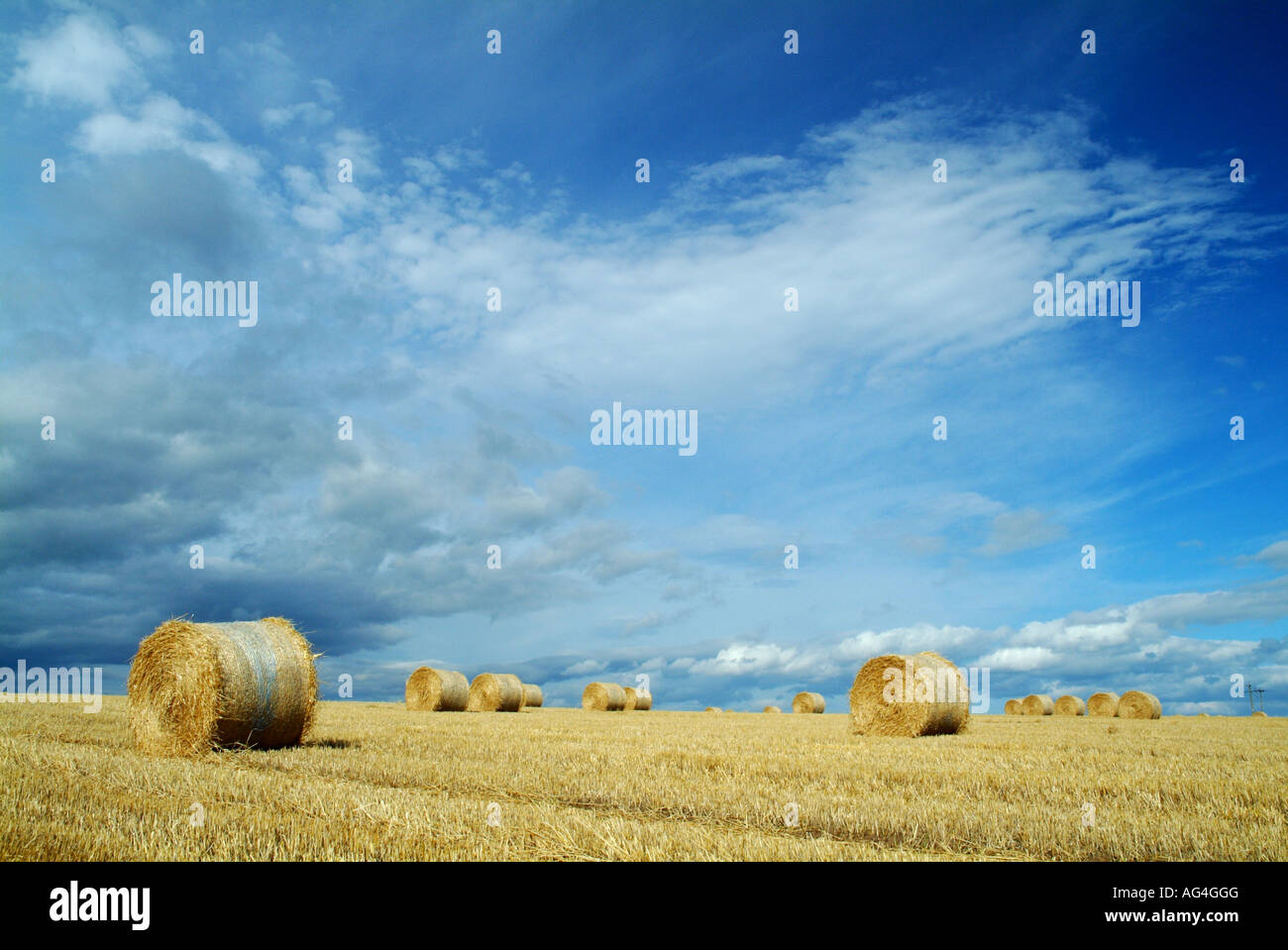 landscape of hay bales in field Stock Photo - Alamy