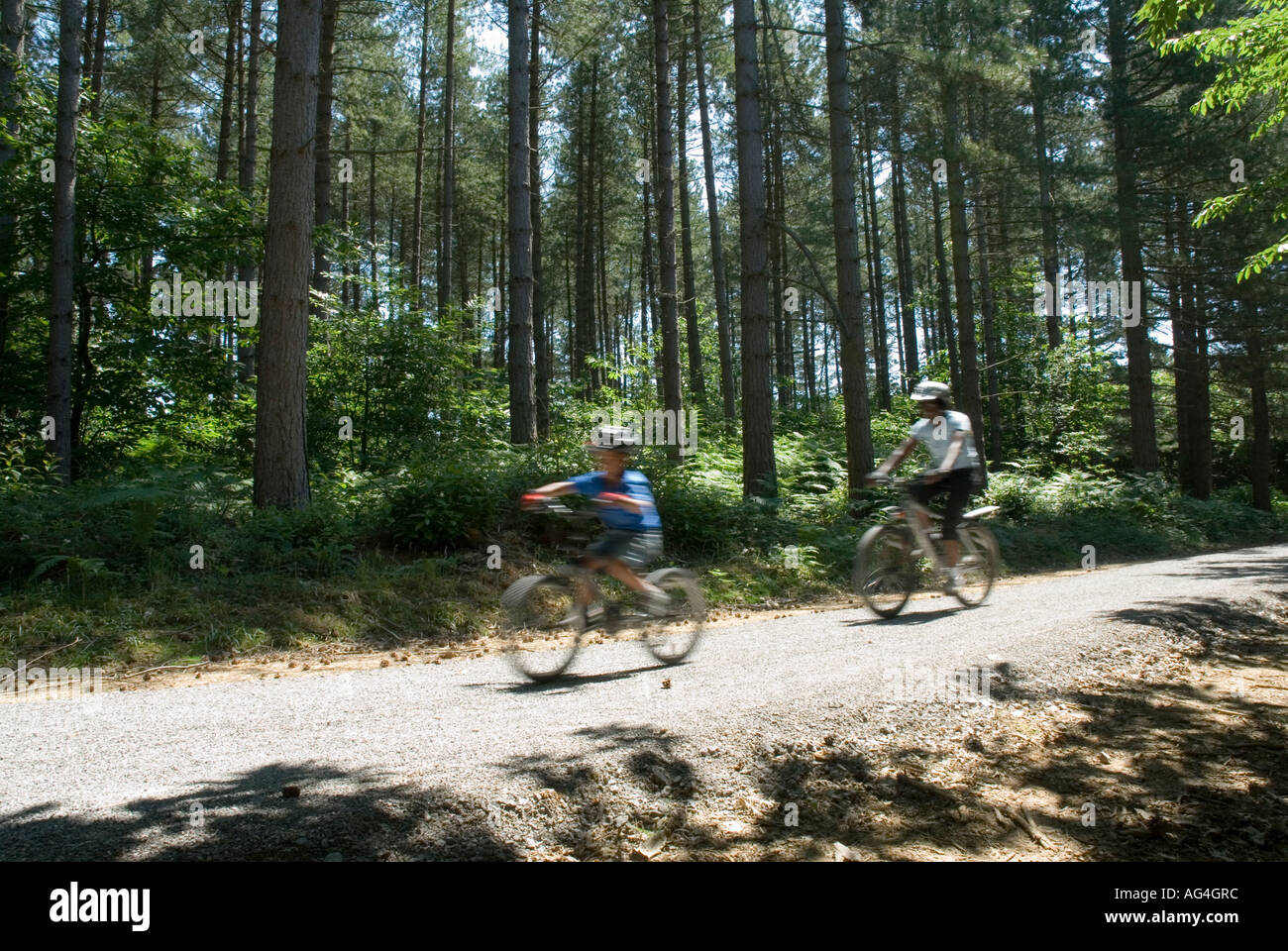 Forestry commission deals mountain biking