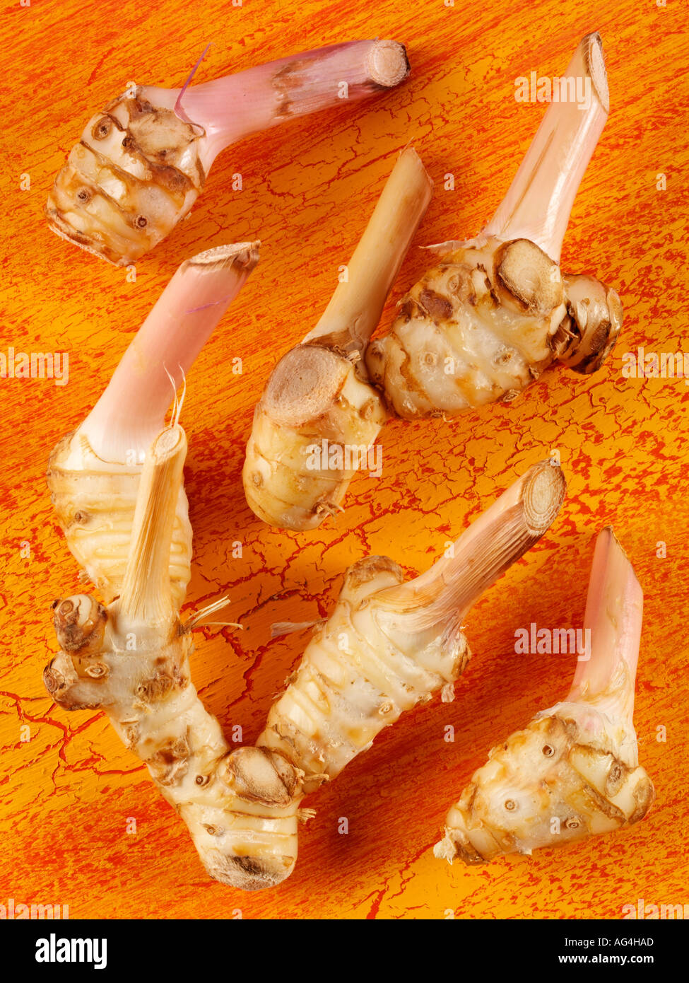 Java galangal hi-res stock photography and images - Alamy