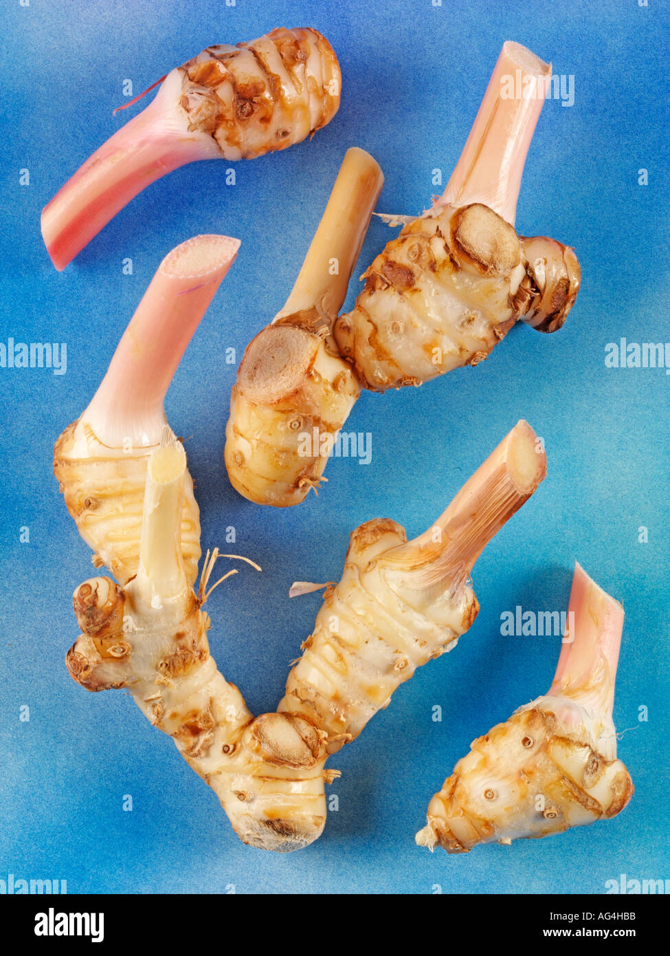 Java galangal hi-res stock photography and images - Alamy