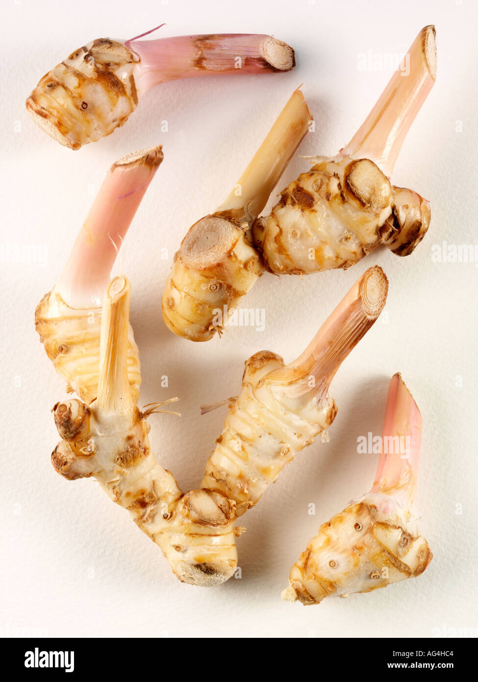 Java galangal hi-res stock photography and images - Alamy