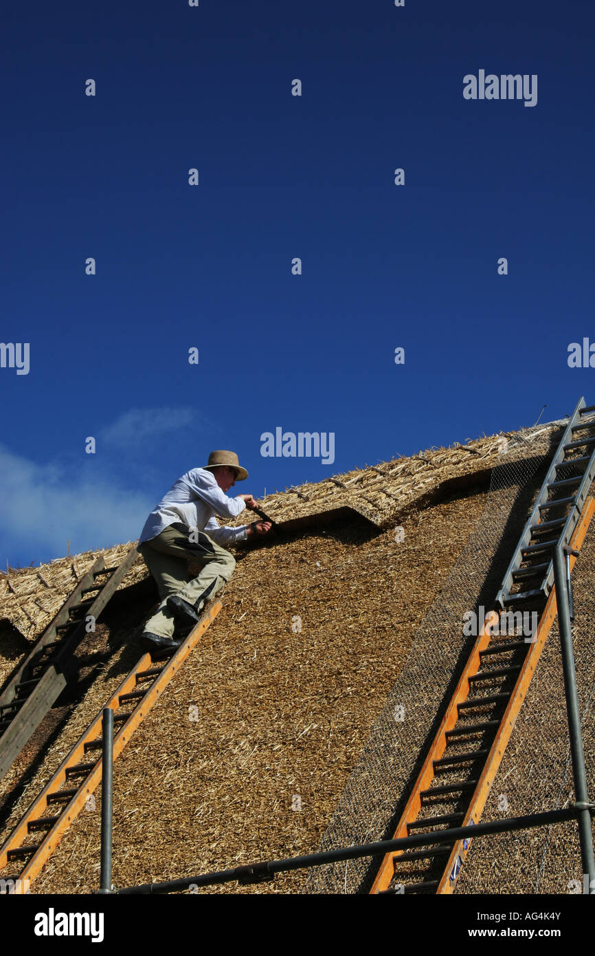Thatcher at work on traditional English cottage roof. Wide portrait. Stock Photo