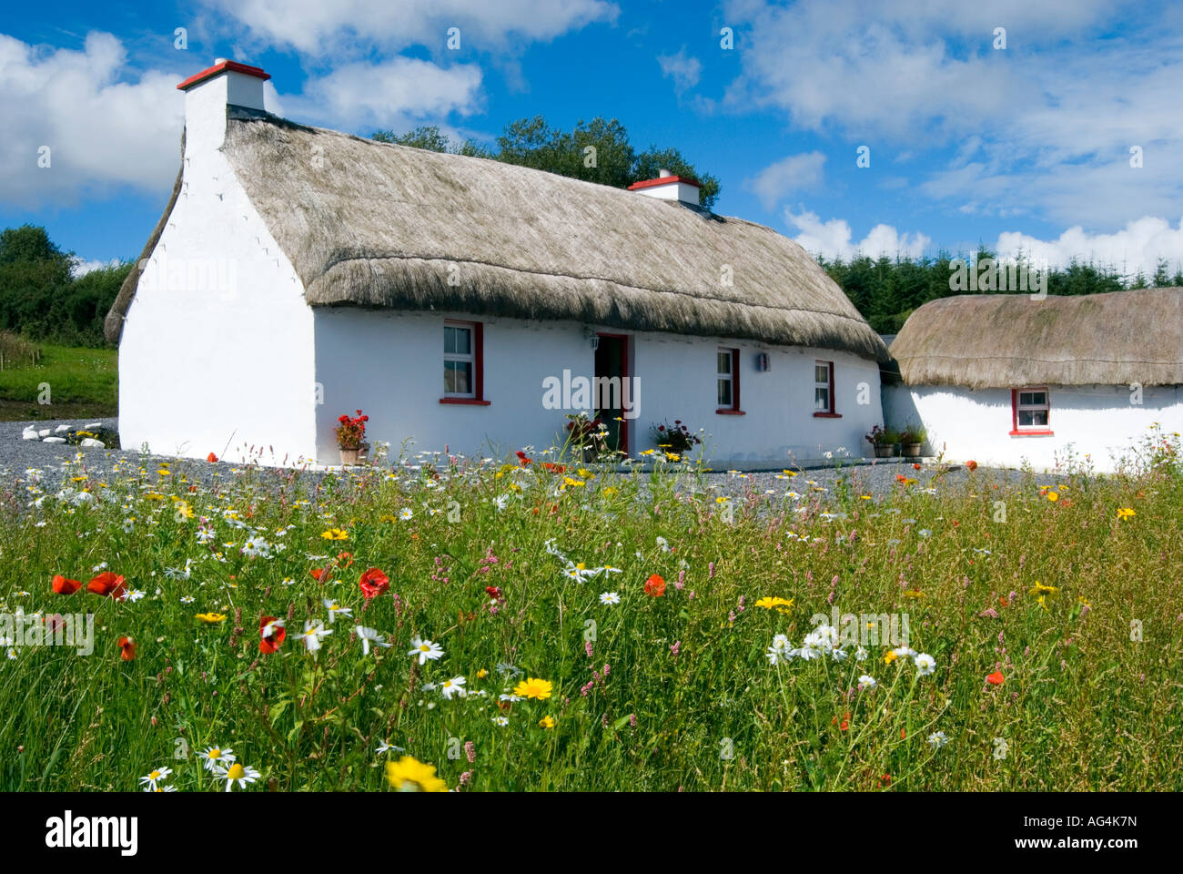 A Traditional Irish Cottage For Rent Stock Photo 14093384 Alamy