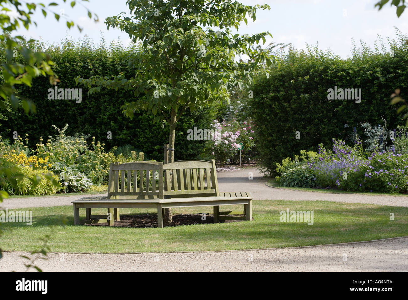 Circular Garden Bench England Uk Stock Photo 8053833 Alamy