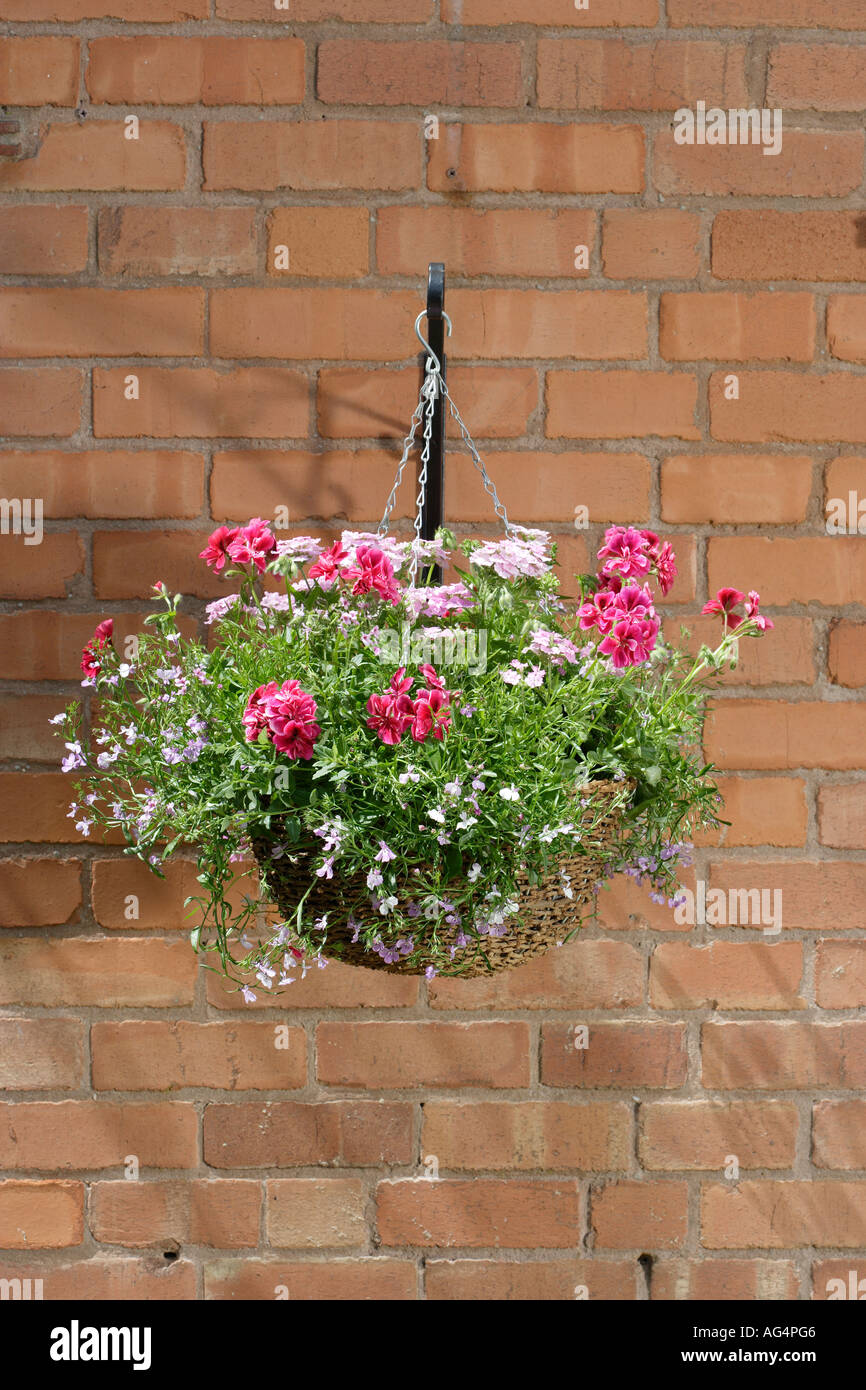 Hanging basket of flowers Stock Photo