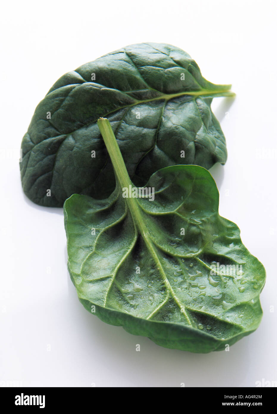 Two spinach leaves on a white background Stock Photo - Alamy