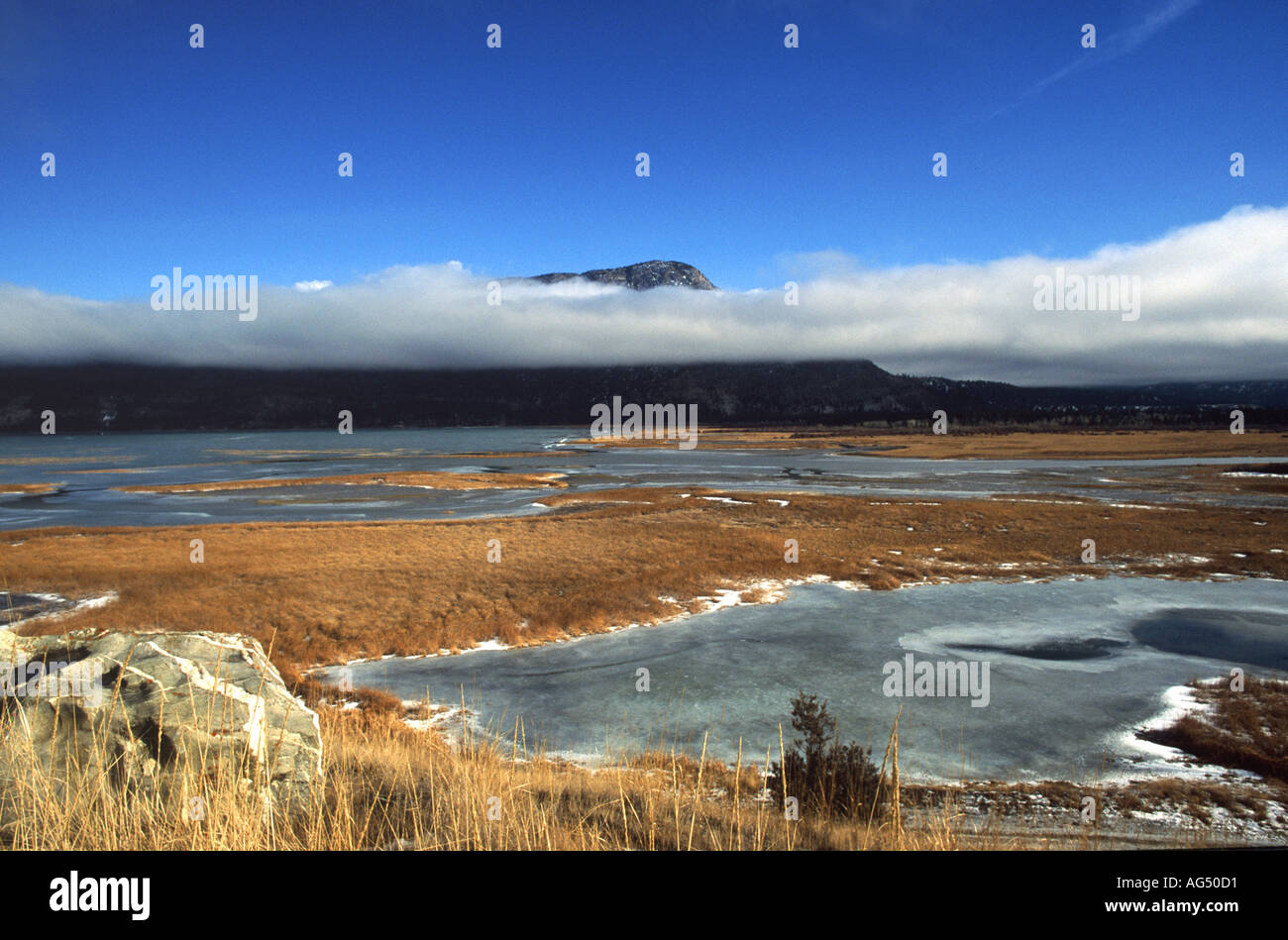 Frozen Canadian lakes in Alberta Stock Photo