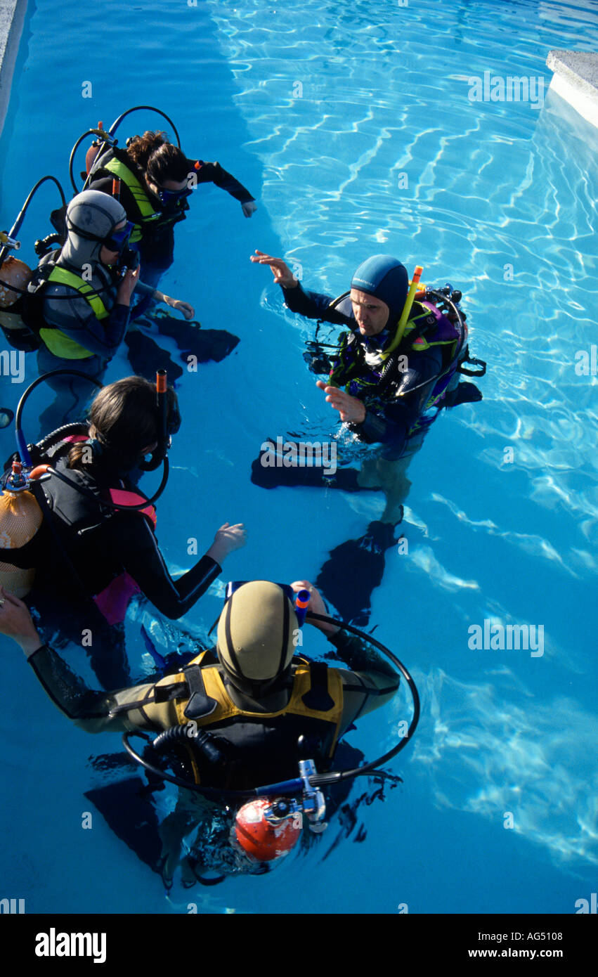 Confined water scuba diving lessons in a swimming pool Stock Photo Alamy