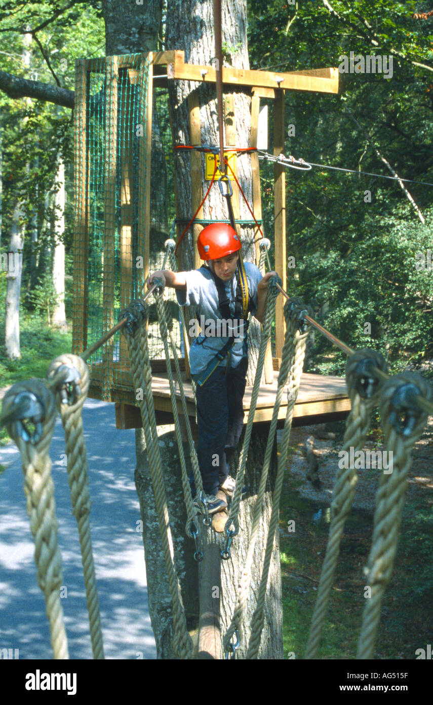 Forest adventure Centre Parcs Center Parcs Parcs Les Bois Francs