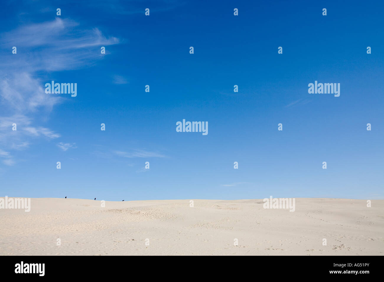 Two Men a Dog with Sand and Sky Under a large blue sky Stock Photo