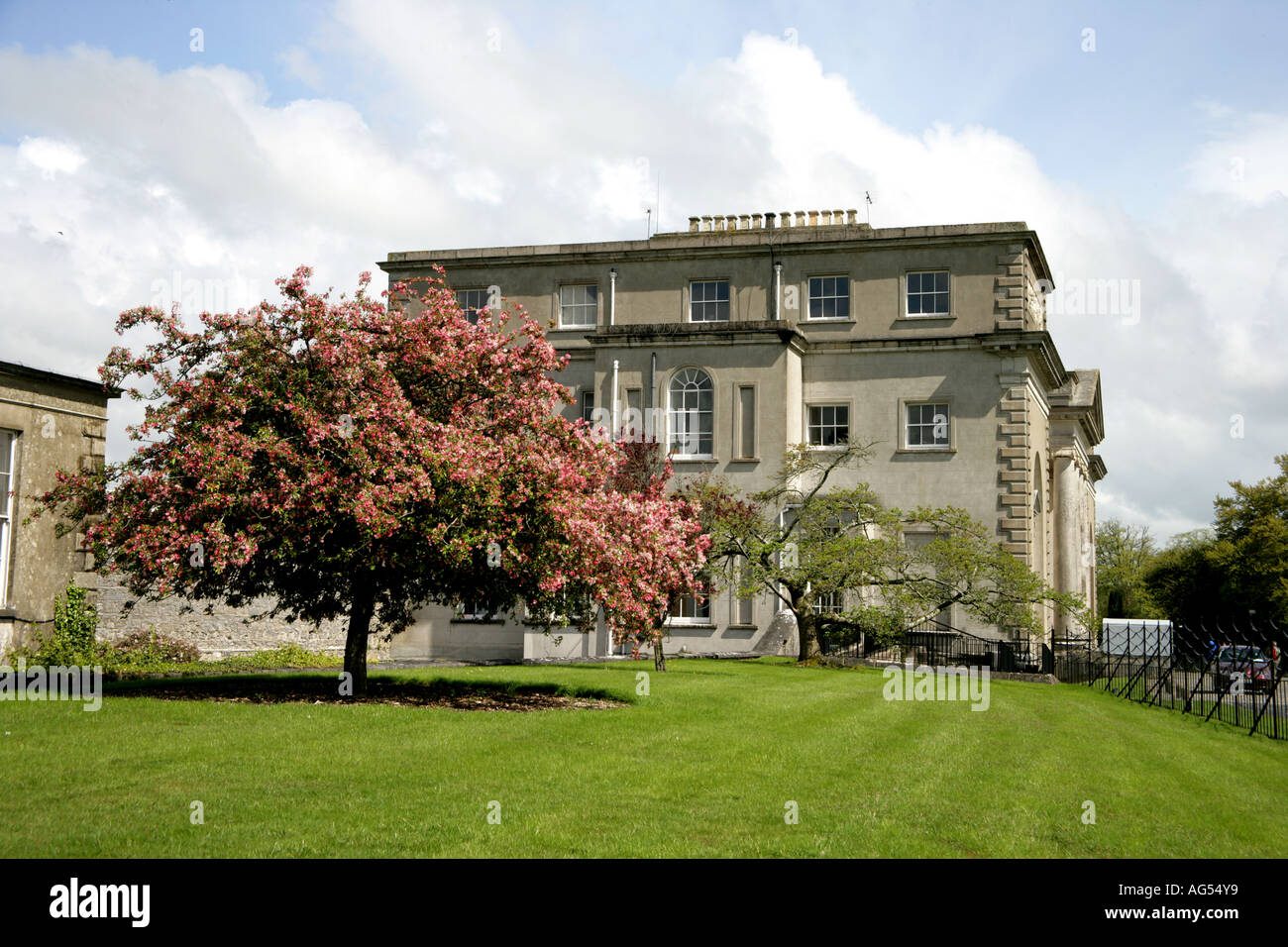 Emo Court Irish stately home built by James Gandon cherry tree Stock Photo Alamy