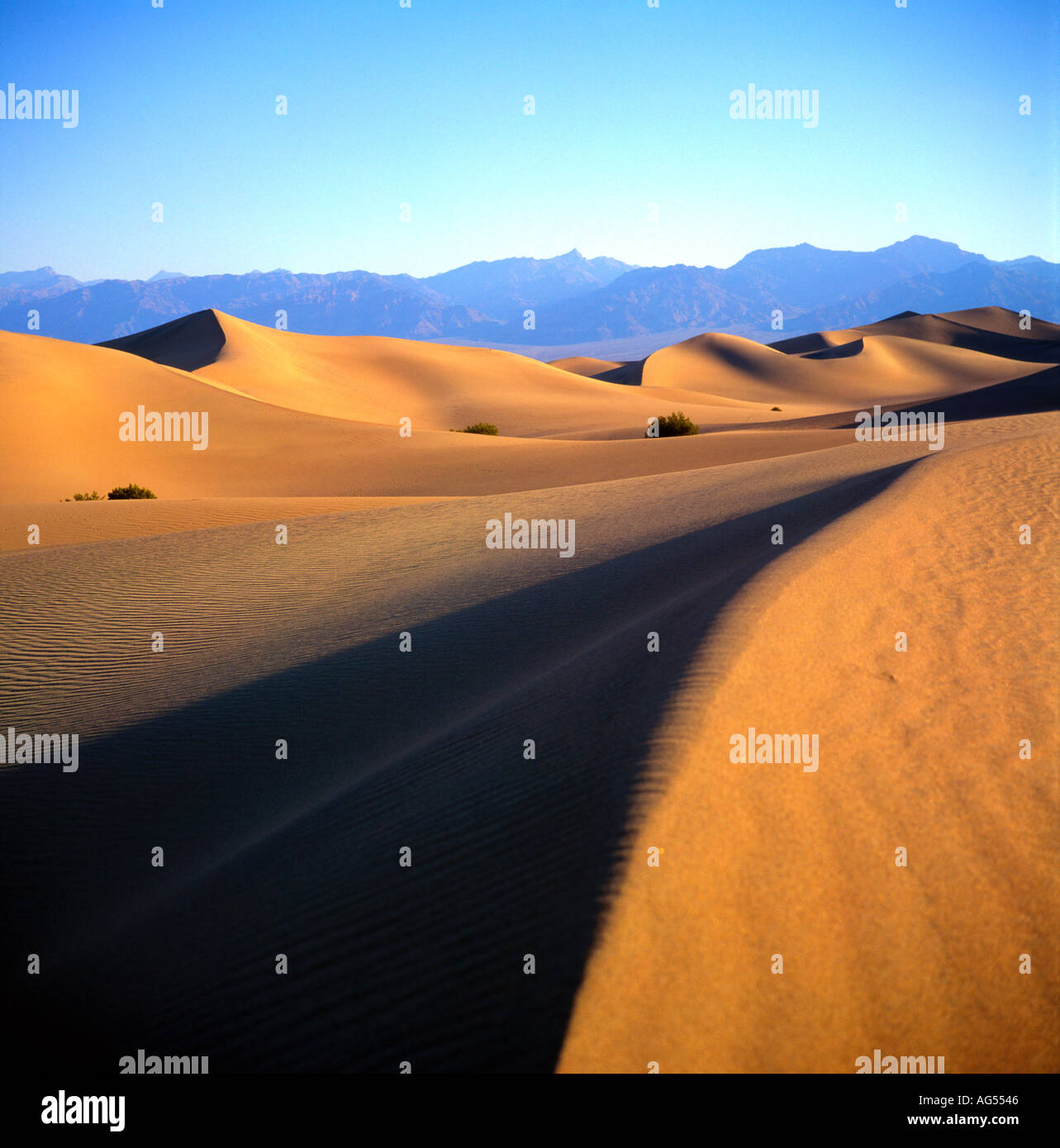 Sand dunes Stovepipe Wells Death Valley California USA Stock Photo