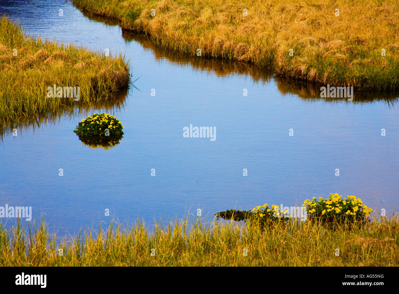 Quiet still natural beauty hi-res stock photography and images - Alamy