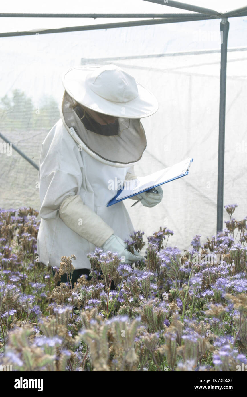 Testing On Insects Testing of insect friendly insecticides Stock Photo - Alamy