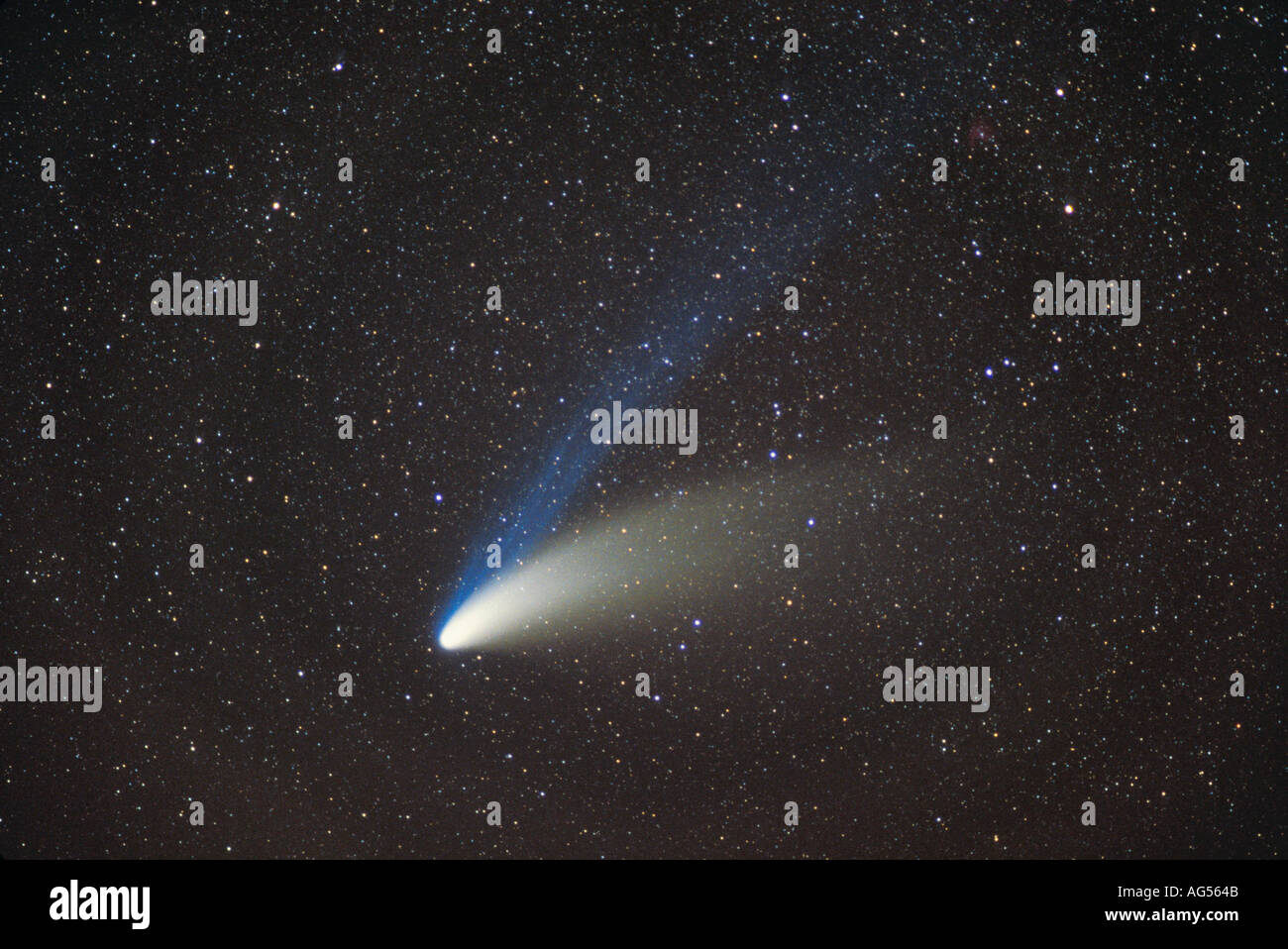 Comet Hale Bopp 1997 Stock Photo