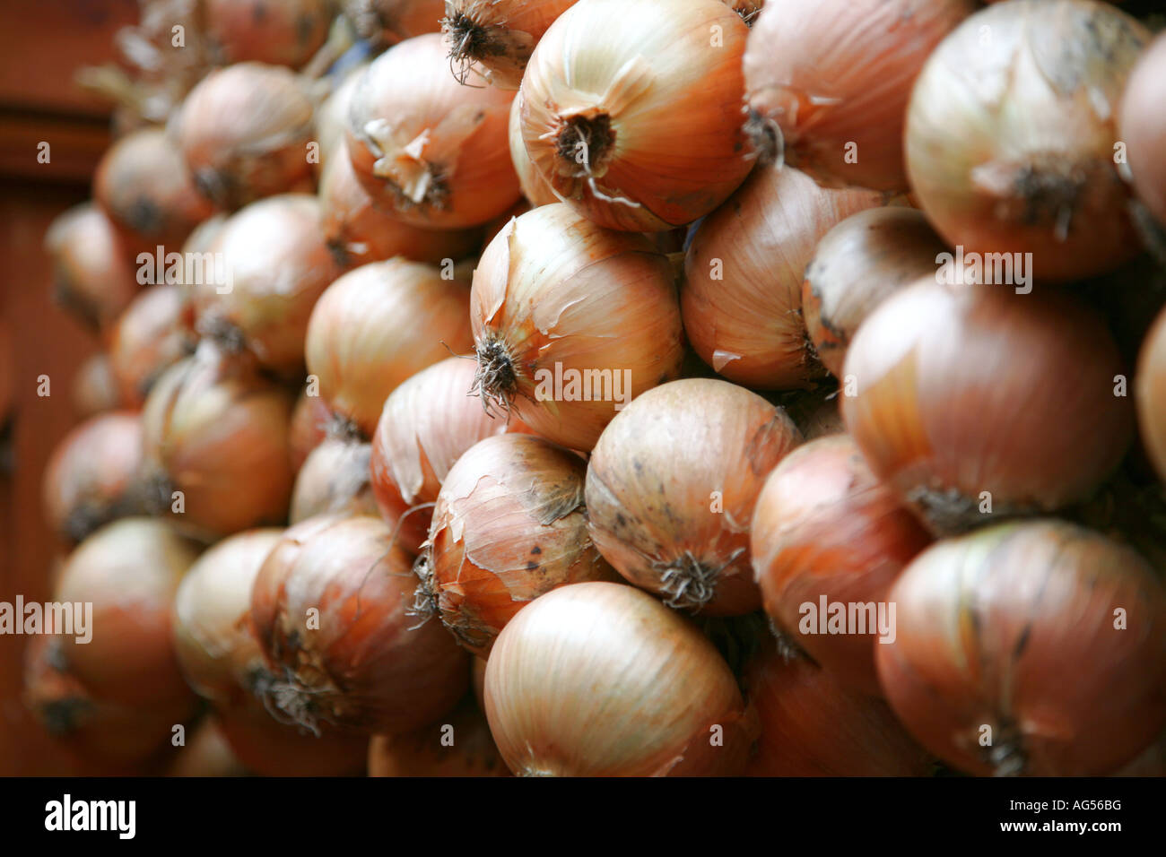 Strings of onions hi-res stock photography and images - Alamy