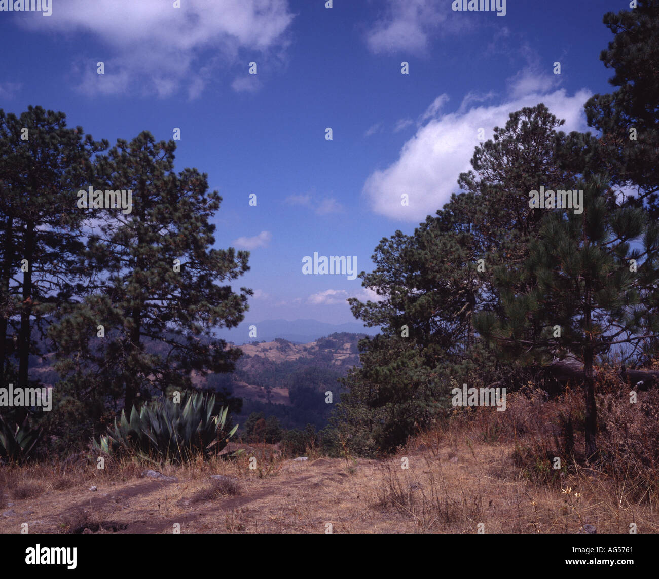 The landscape of the Sierra Madre Oaxaca Mexico Stock Photo Alamy