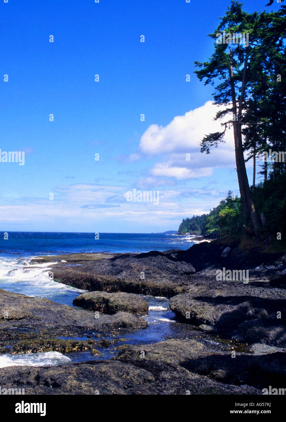 Washington coast line near Tongue Point, Olympic Peninsula Stock Photo Alamy