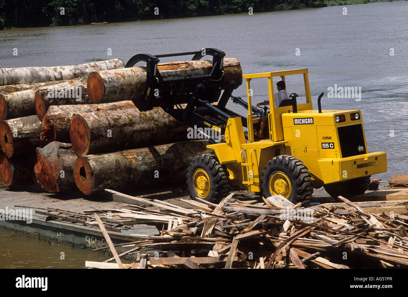 Deforestation: log loader unloading logs from barge at sawmill, Amazon estuary, Marajo Island, Para, Brazil Stock Photo