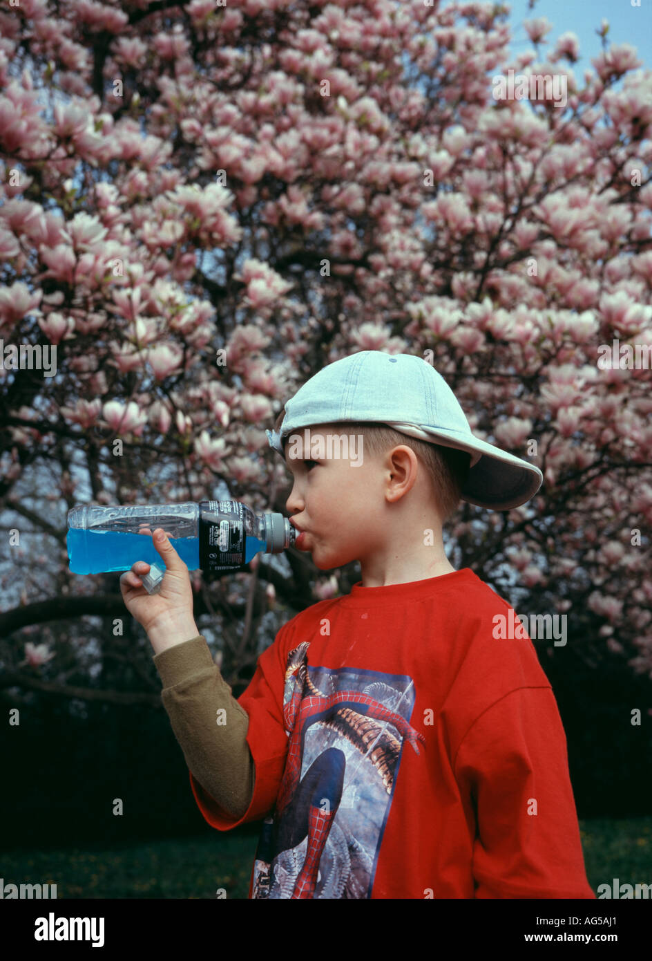 Springtime Stock Photo