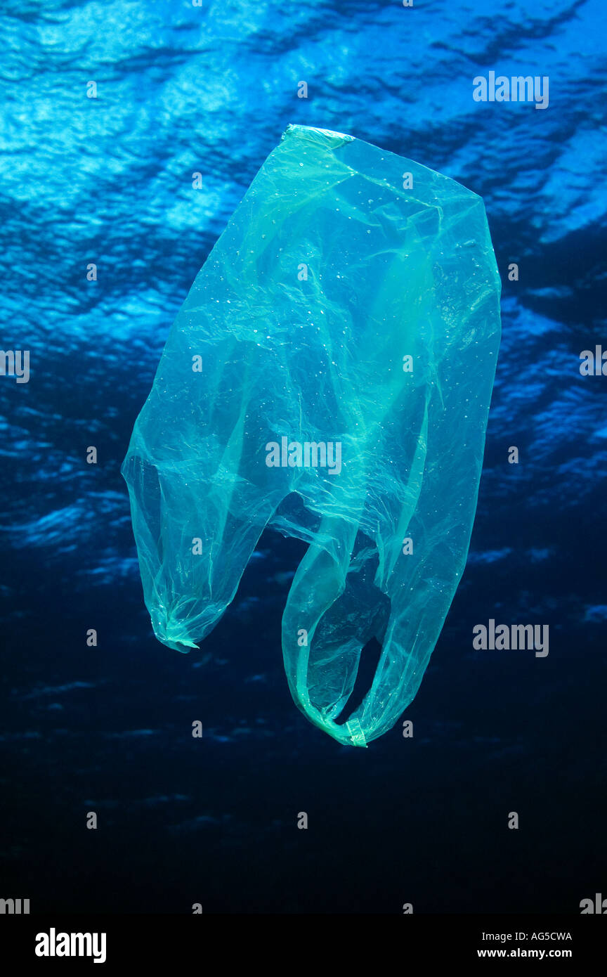 plastic bag floating underwater Stock Photo 8057497 Alamy