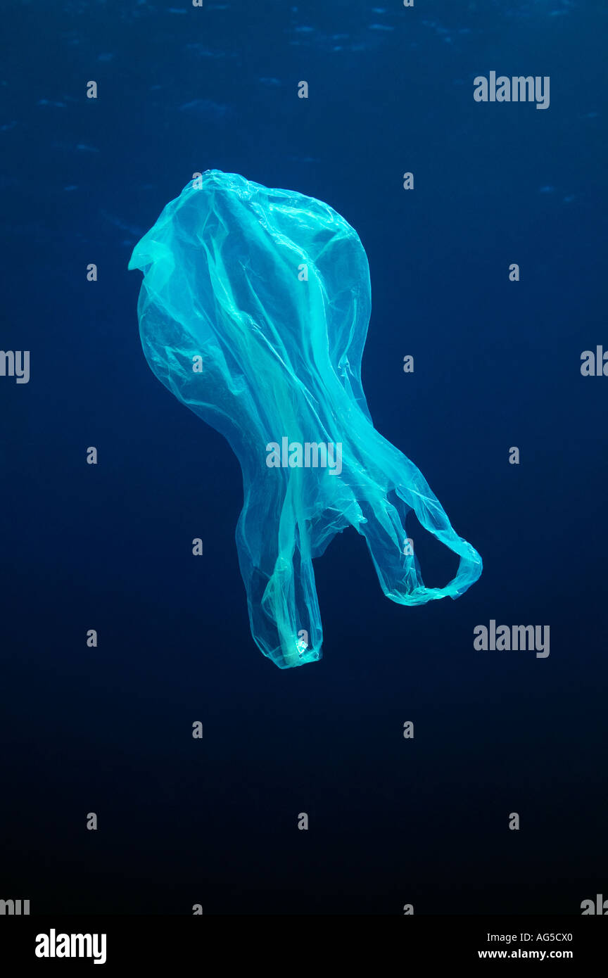 plastic bag floating underwater Stock Photo Alamy