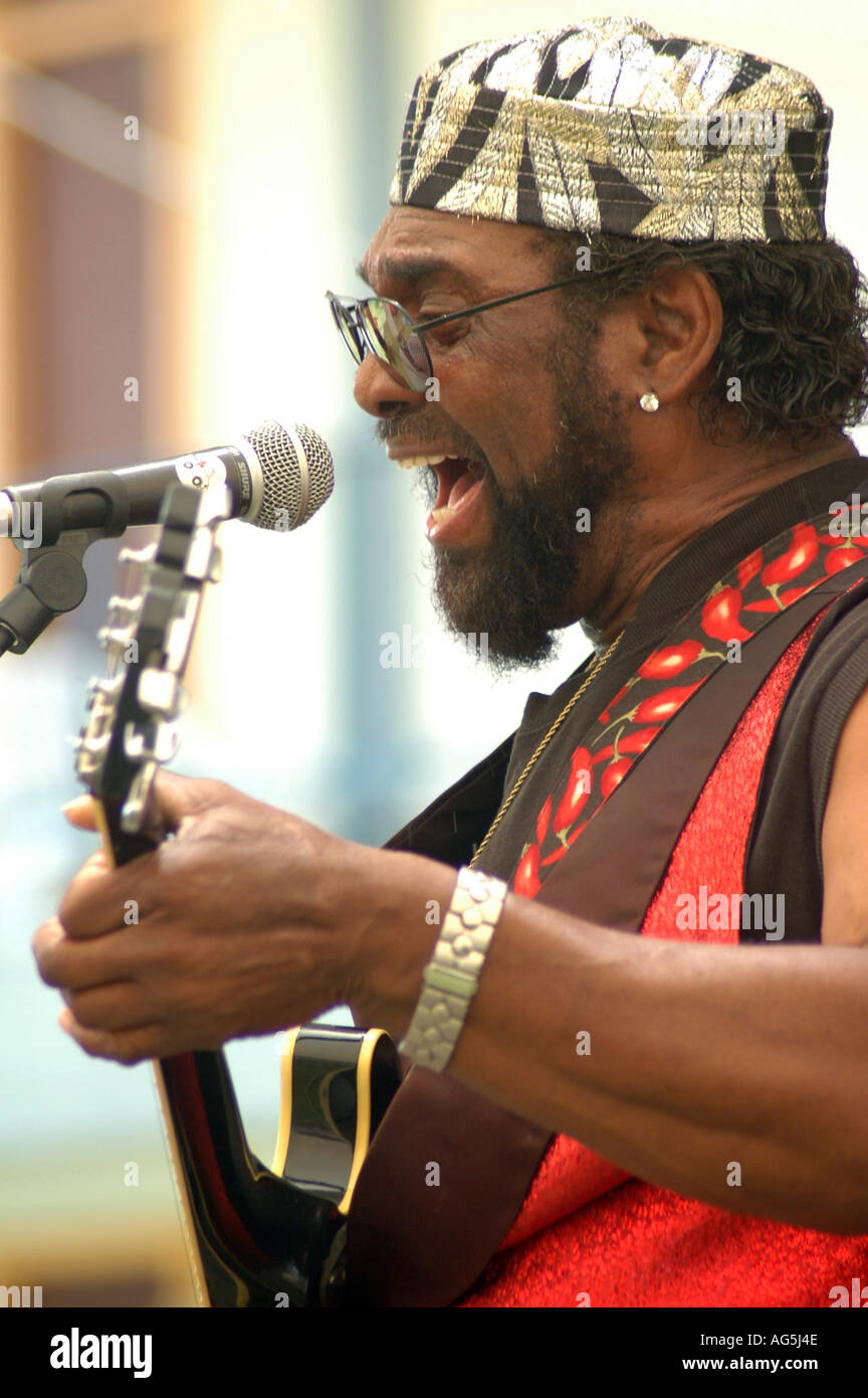 Male singer with a guitar Stock Photo Alamy