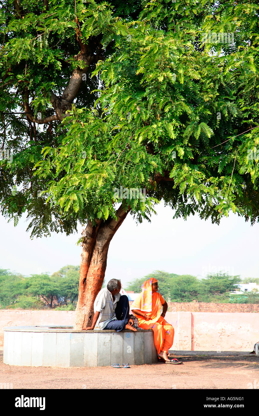 India Rajasthan Indian Couple Waiting For Train Under Tamarind Tree Stock Photo Alamy India Rajasthan Indian Couple Waiting For Train Under Tamarind Tree Stock Photo Alamy