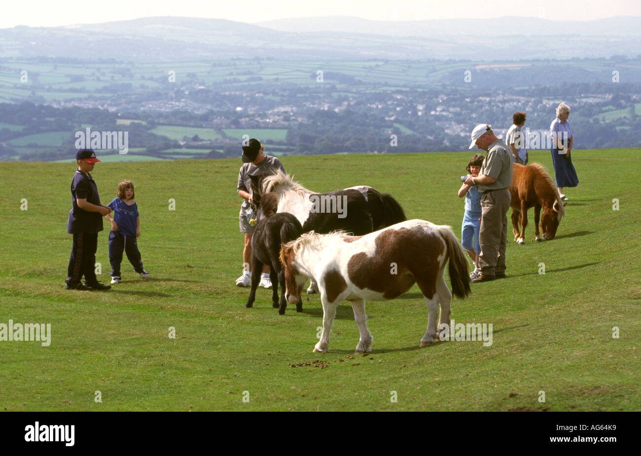 Devon Dartmoor Barn Hill Dartmoor Ponies Stock Photo Alamy