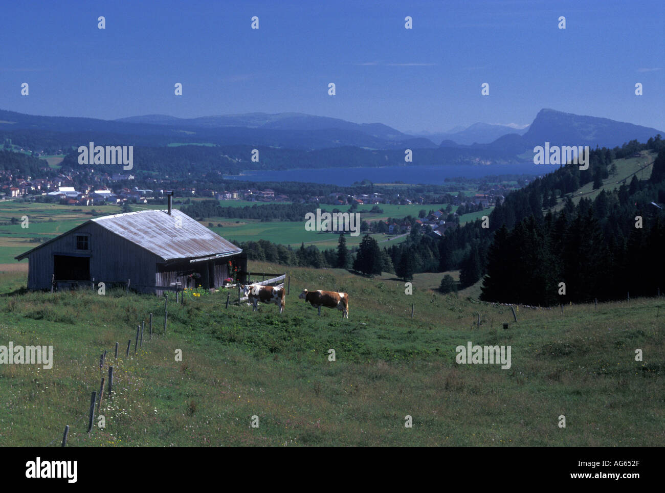 AJ16352, Vallee de Joux, Switzerland, Vaud, Jura Mountains Stock Photo