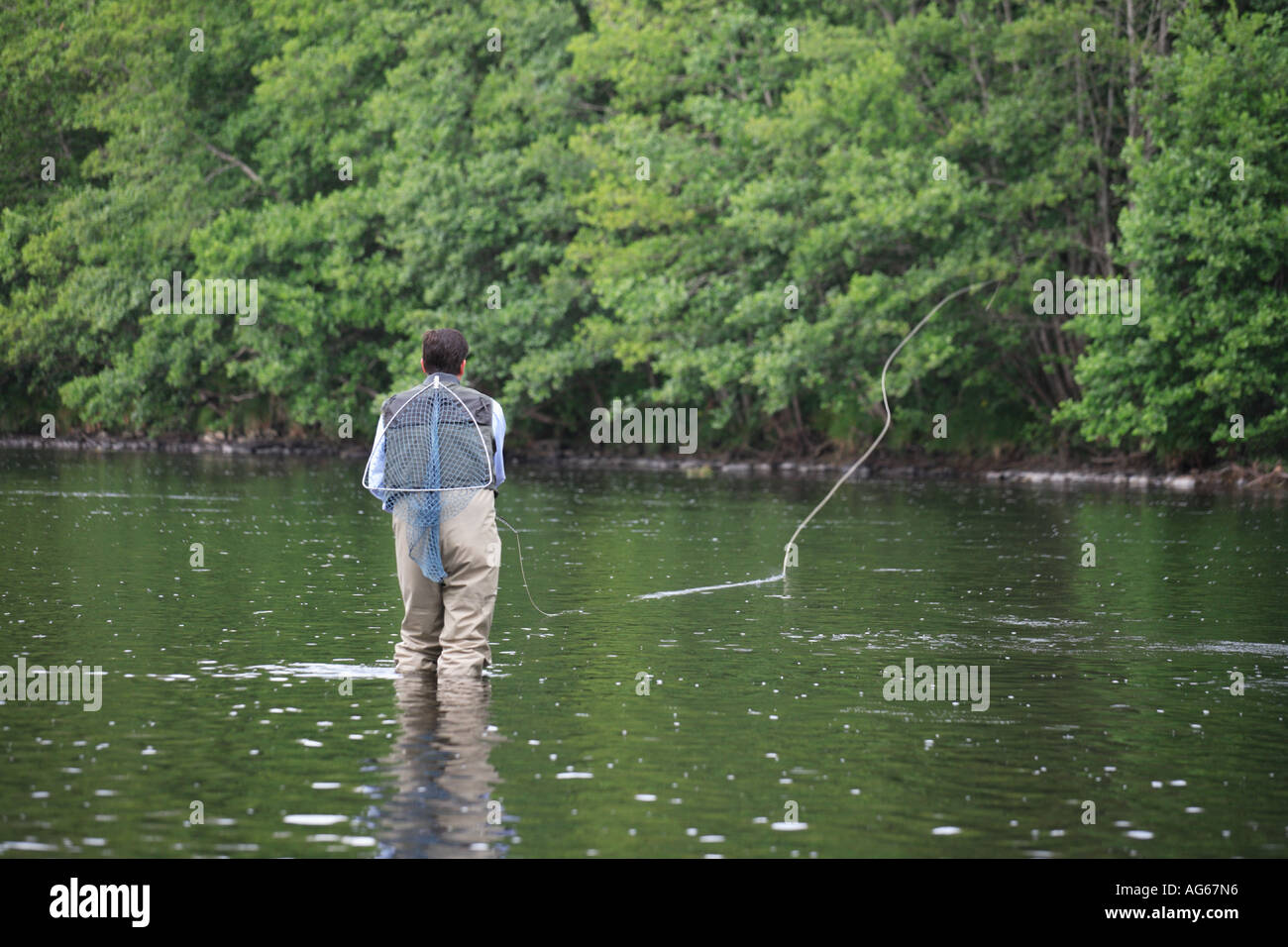 Fly Fisherman in waders, carrying landing net, wading in the River Stock Photo Alamy