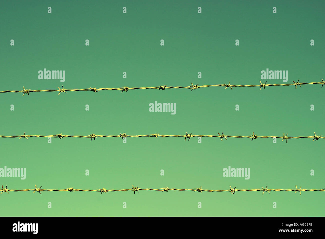 The wire hi-res stock photography and images - Alamy