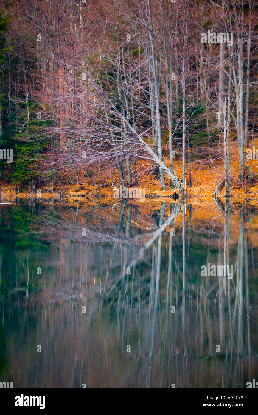 Calm lake with colorful forest reflections, Lokve in Croatia, Europe original originality moment backgrounds background breathtaking breathtakingly Stock Photo