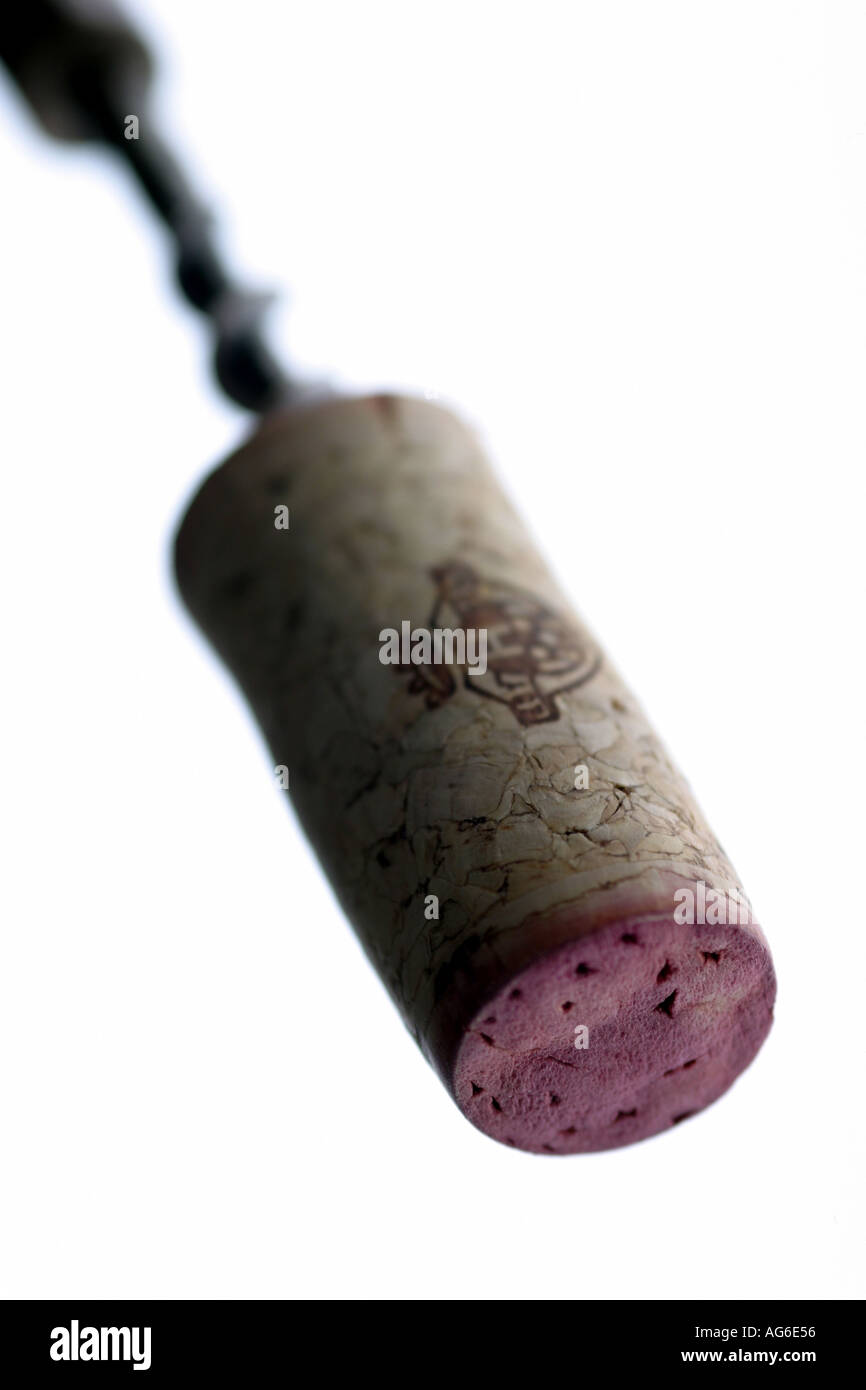 cork on a corkscrew Stock Photo Alamy