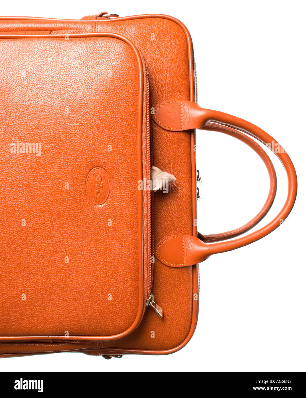 Laptop bag with mouse Stock Photo Alamy