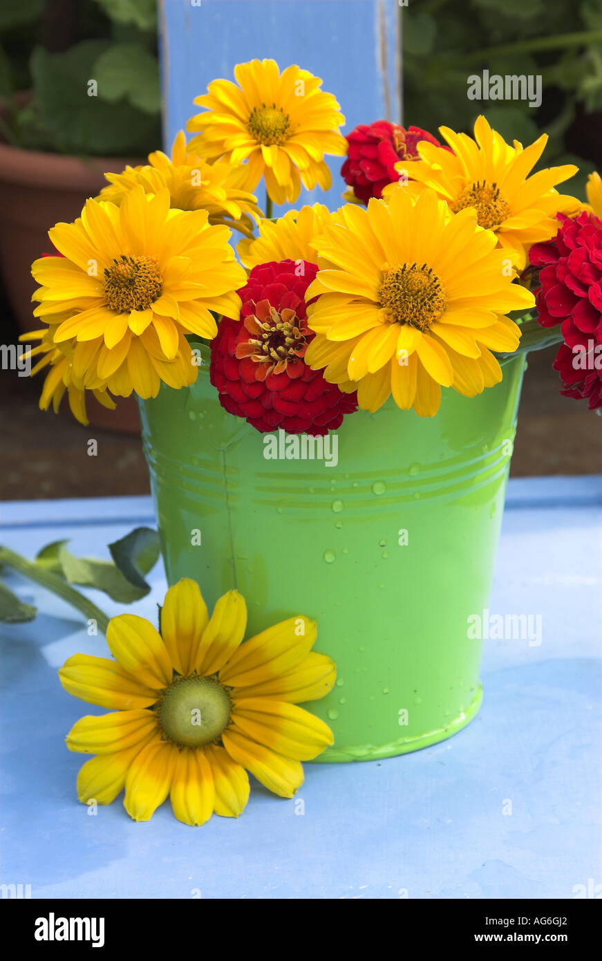 Garden chair with flowers in buckets Stock Photo Alamy