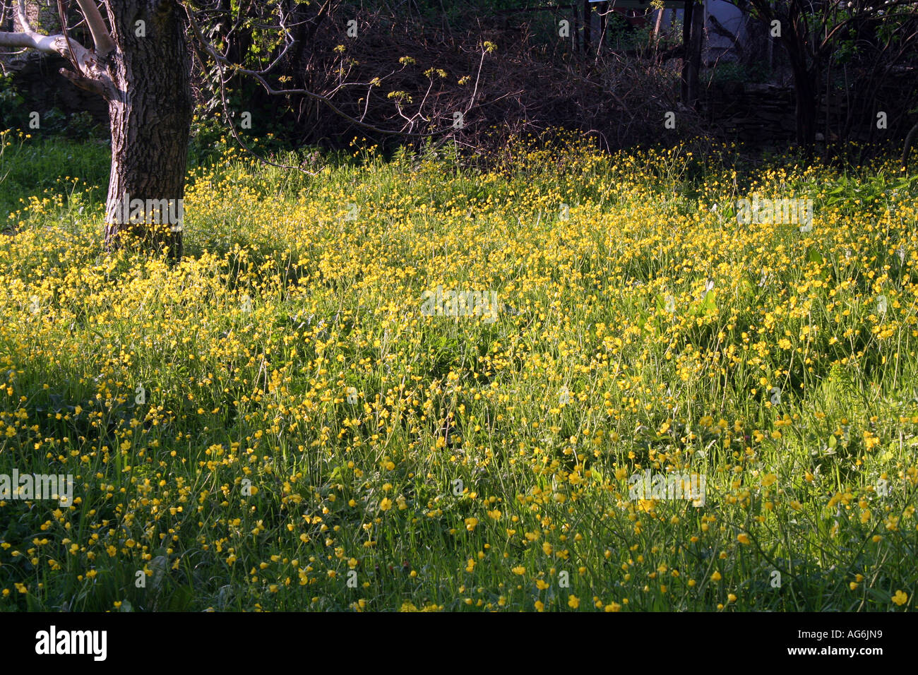 landscape Stock Photo