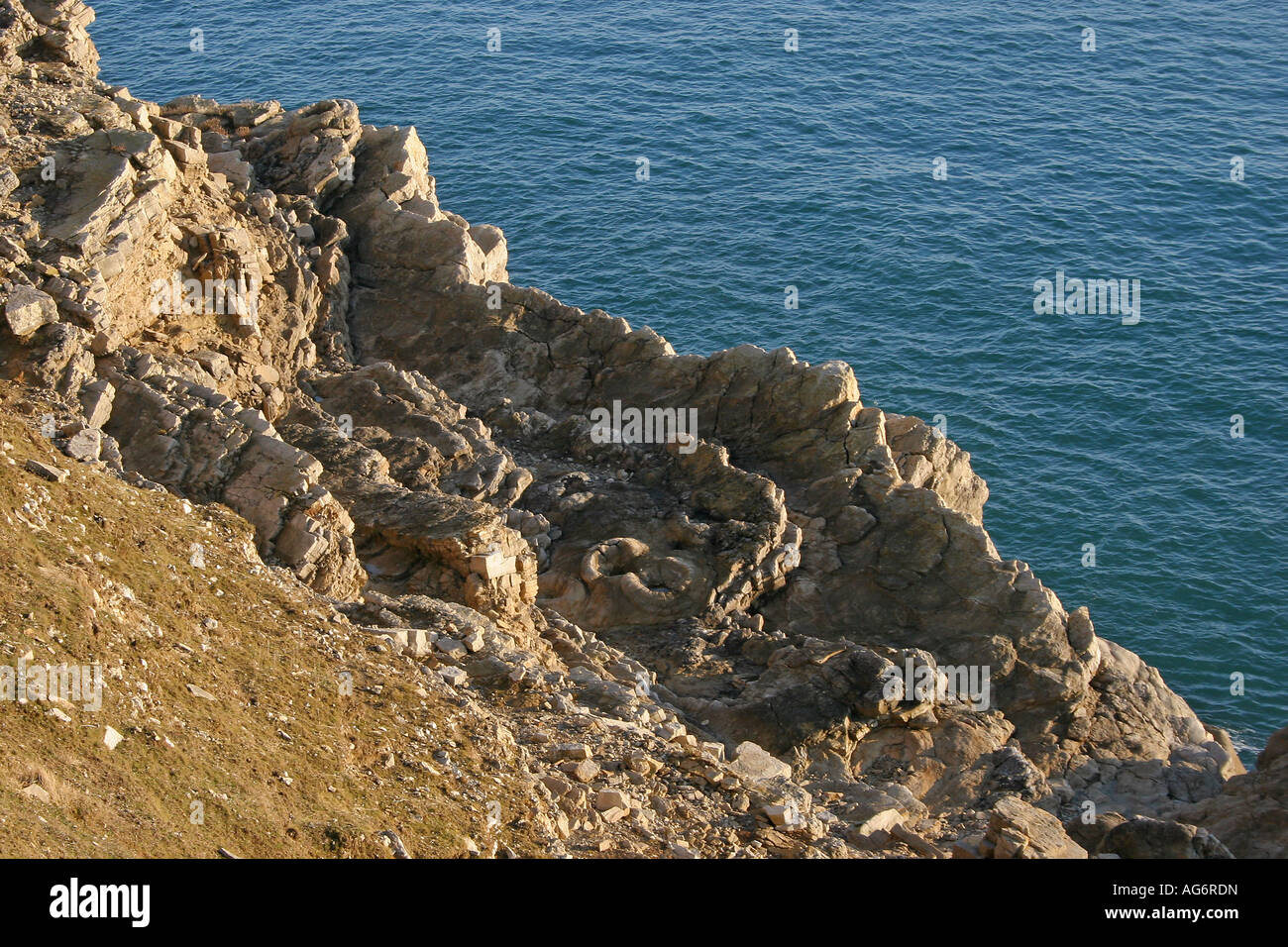 The fossil forest at Lulworth seen from the coastal footpath which runs over the Lulworth Army Ranges Stock Photo