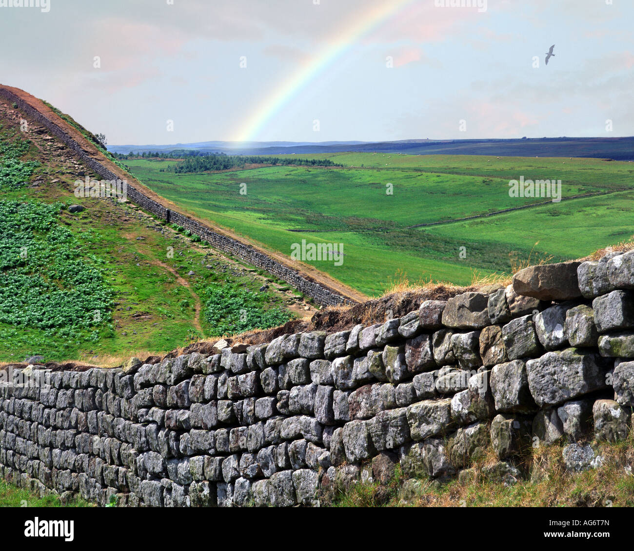 GB - NORTHUMBERLAND: Hadrian's Wall Stock Photo