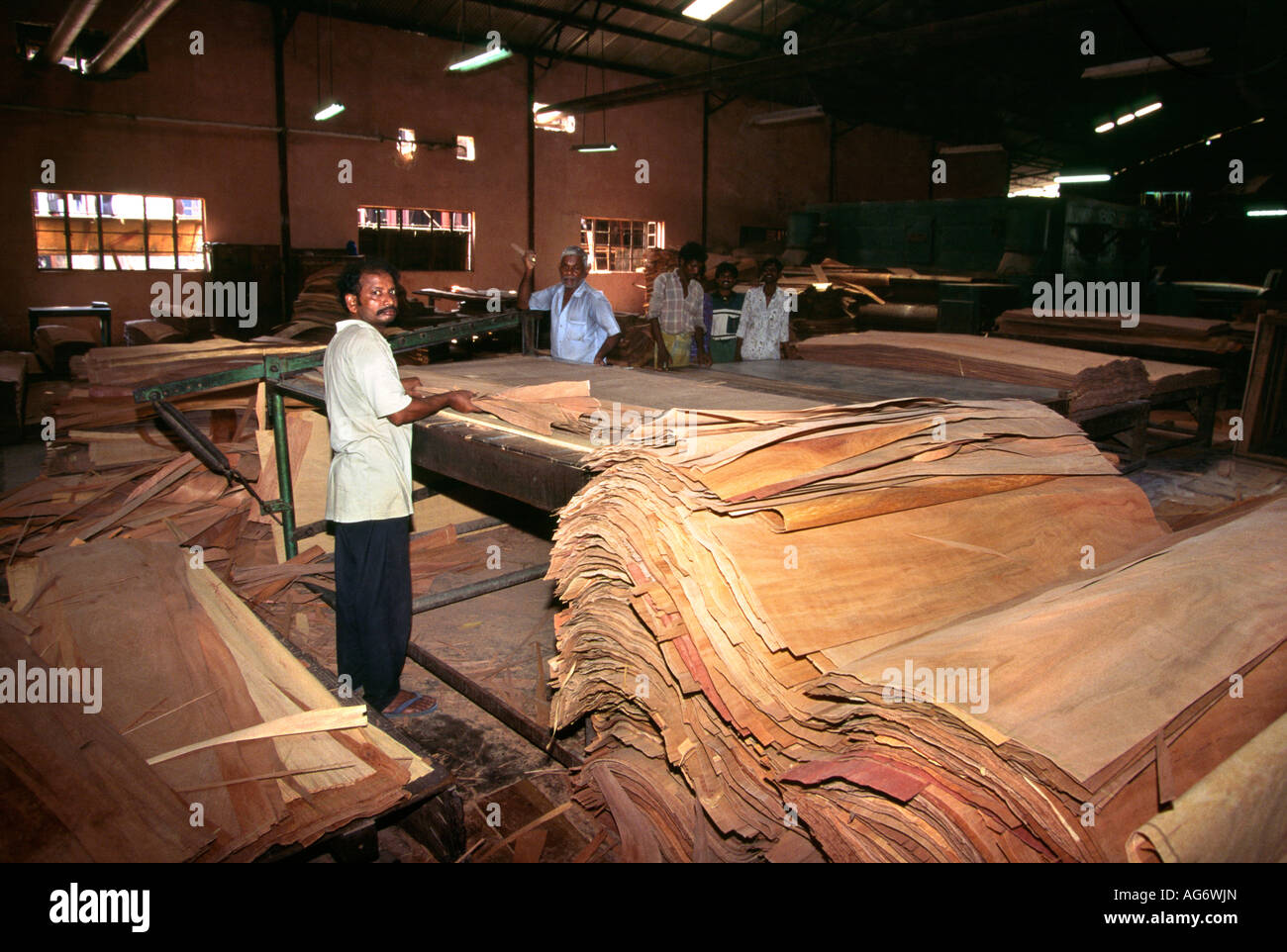 India Middle Andaman Island Bakultala Jayshree Plywood Factory sorting