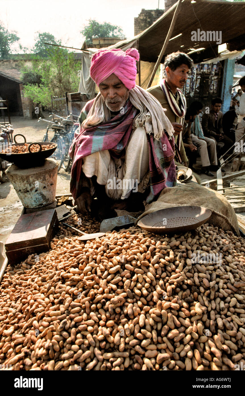 India Uttar Pradesh Fatehpur Sikri food peanut seller Stock Photo Alamy
