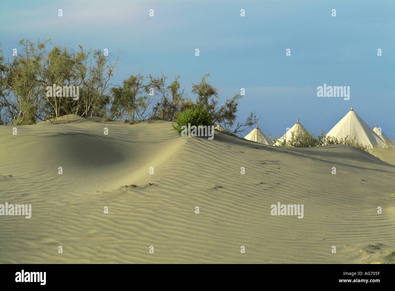 Egypt Red Sea Between Quoseir And Marsa Alam Windsurfer Campsite On A Isolated Sandy Beach At Sunset Stock Photo