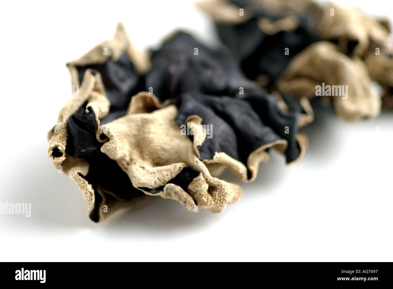 Dried black fungus Stock Photo Alamy