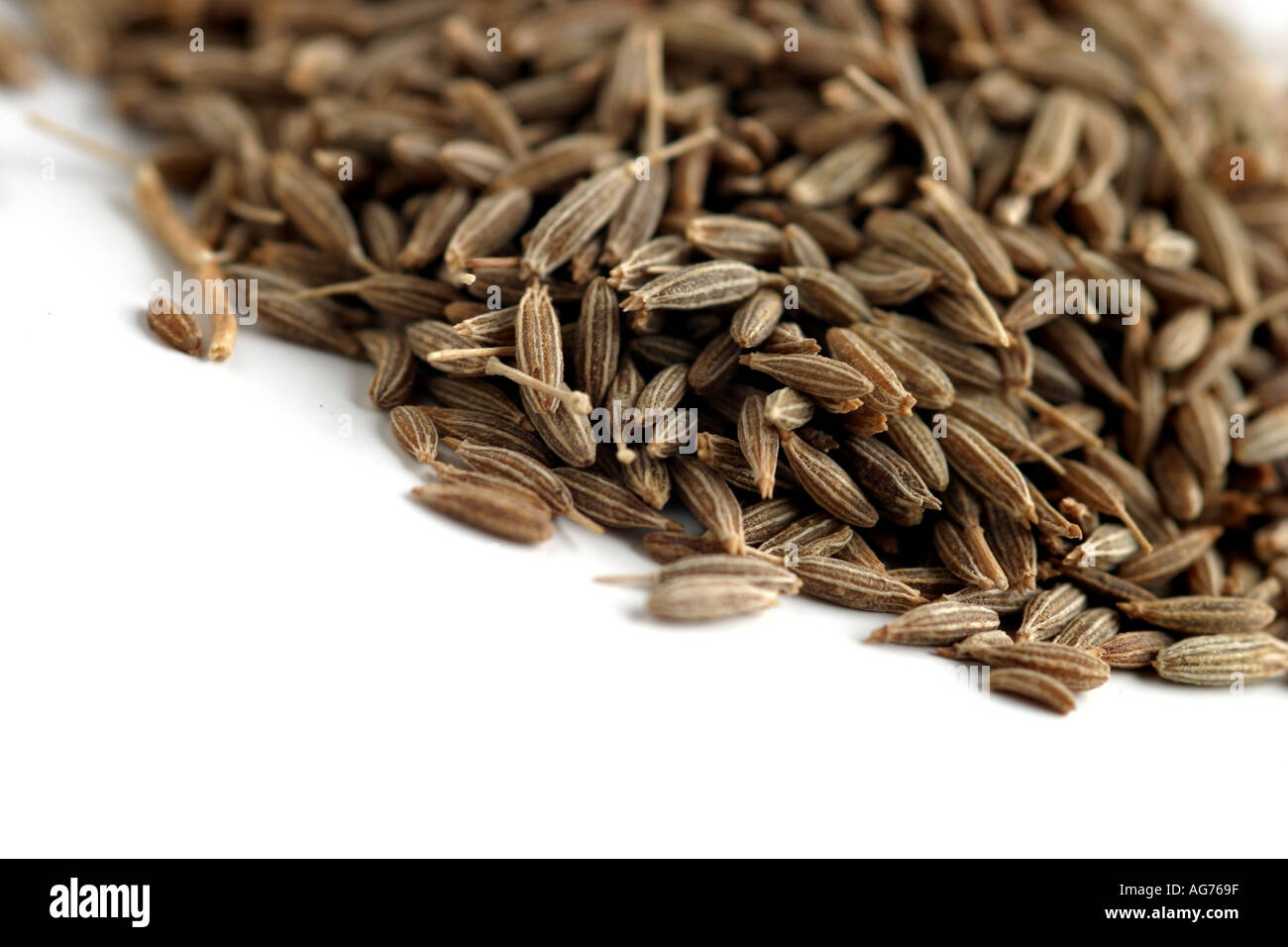 Whole Jeera Cumin seeds Stock Photo Alamy