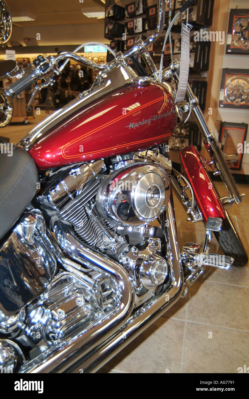 Motor 2024 ala harley