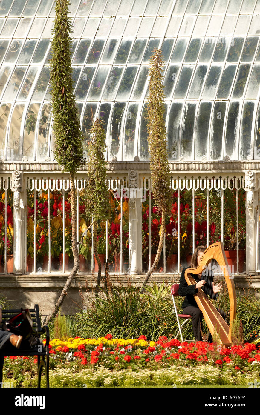 A Young Harpist Playing Outside The Palm House At The Garden
