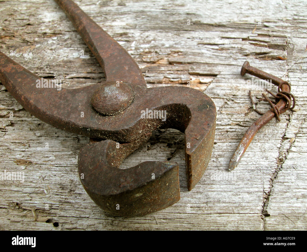 old tongs Stock Photo Alamy